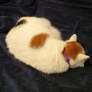 Meet your Posher, Evalyn